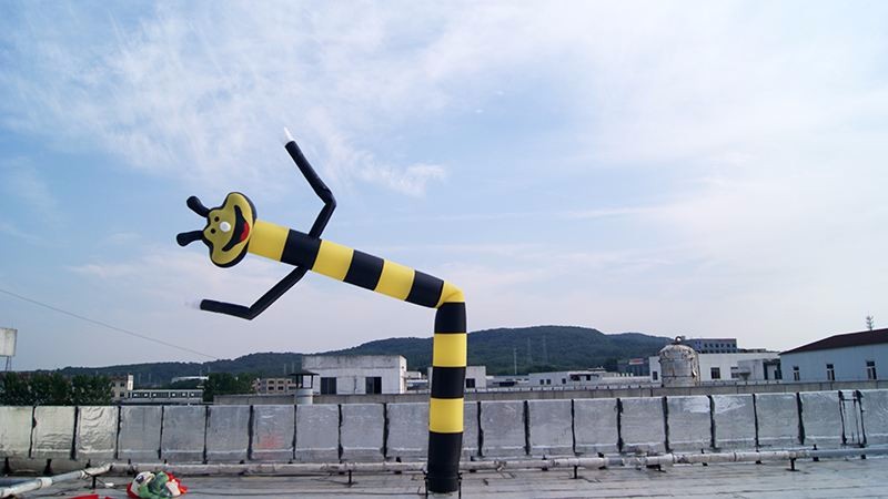 重庆蜜蜂空中舞星